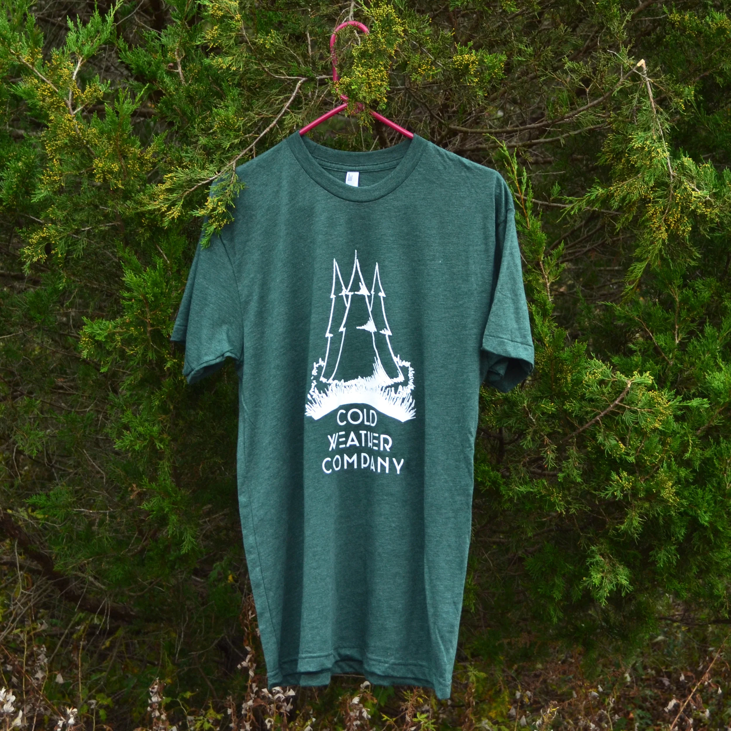 TREE_TREEHANG.jpg