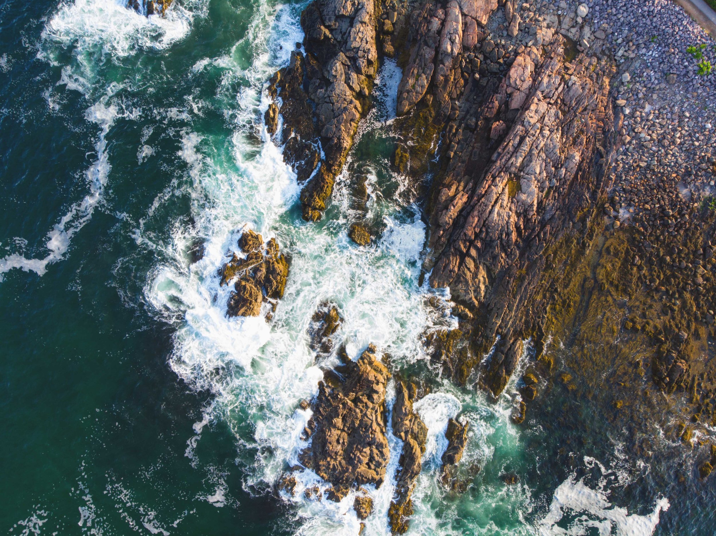 __ALBUM _COVER_PANO_NO_GOLD.jpg