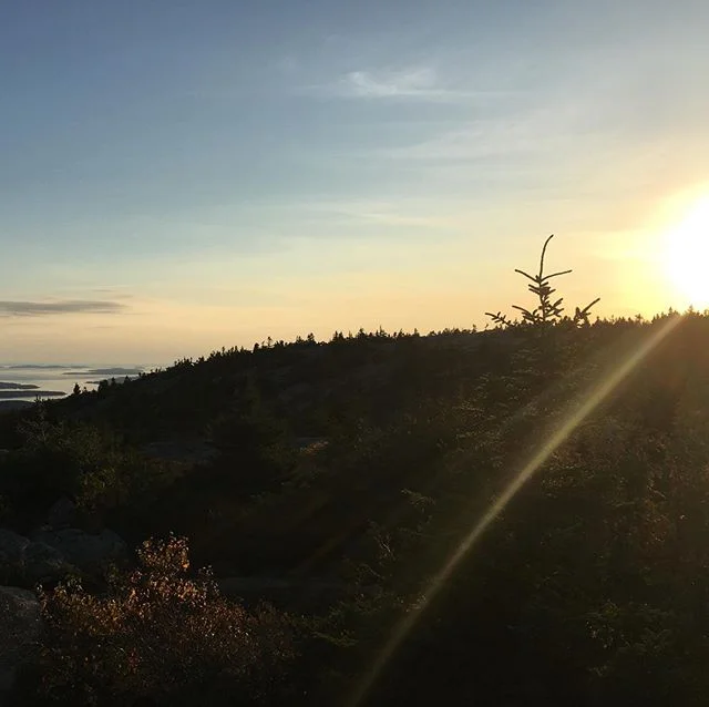 We asked and you all delivered! Our official ‘Sunny Weather Company’ collaborative playlist full of upbeat/feel-good/optimistic songs is up on our @spotify - you can get there through the link in our bio! Feel free to add more songs whenever you like! ☀️