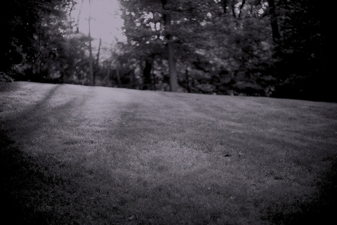 hardscrabble wood-02