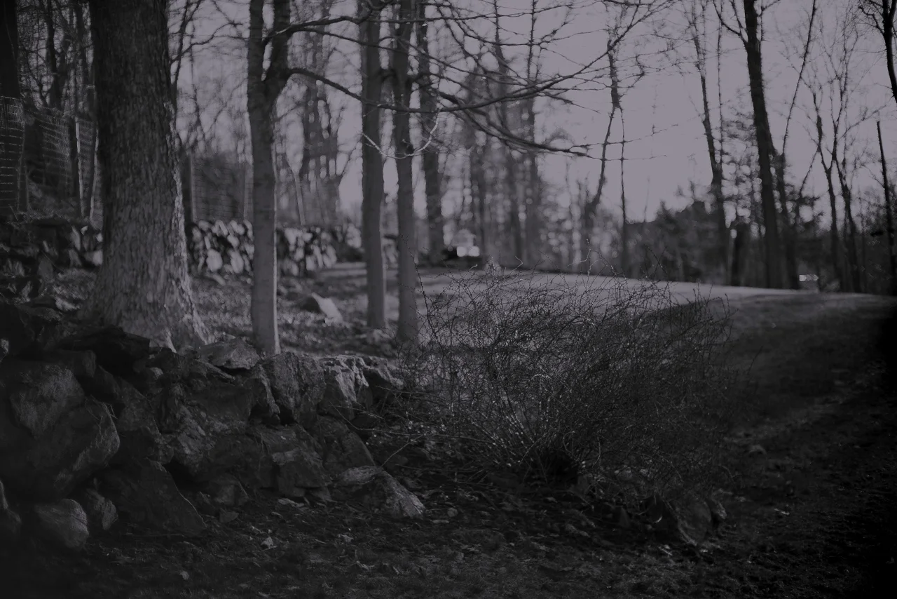 hardscrabble wood-05