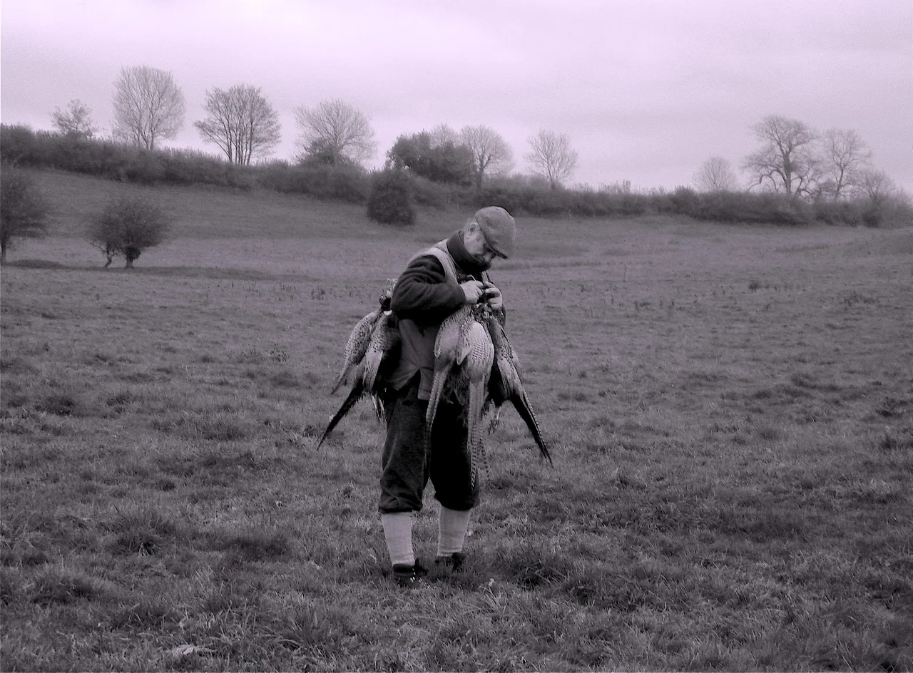shoot-13