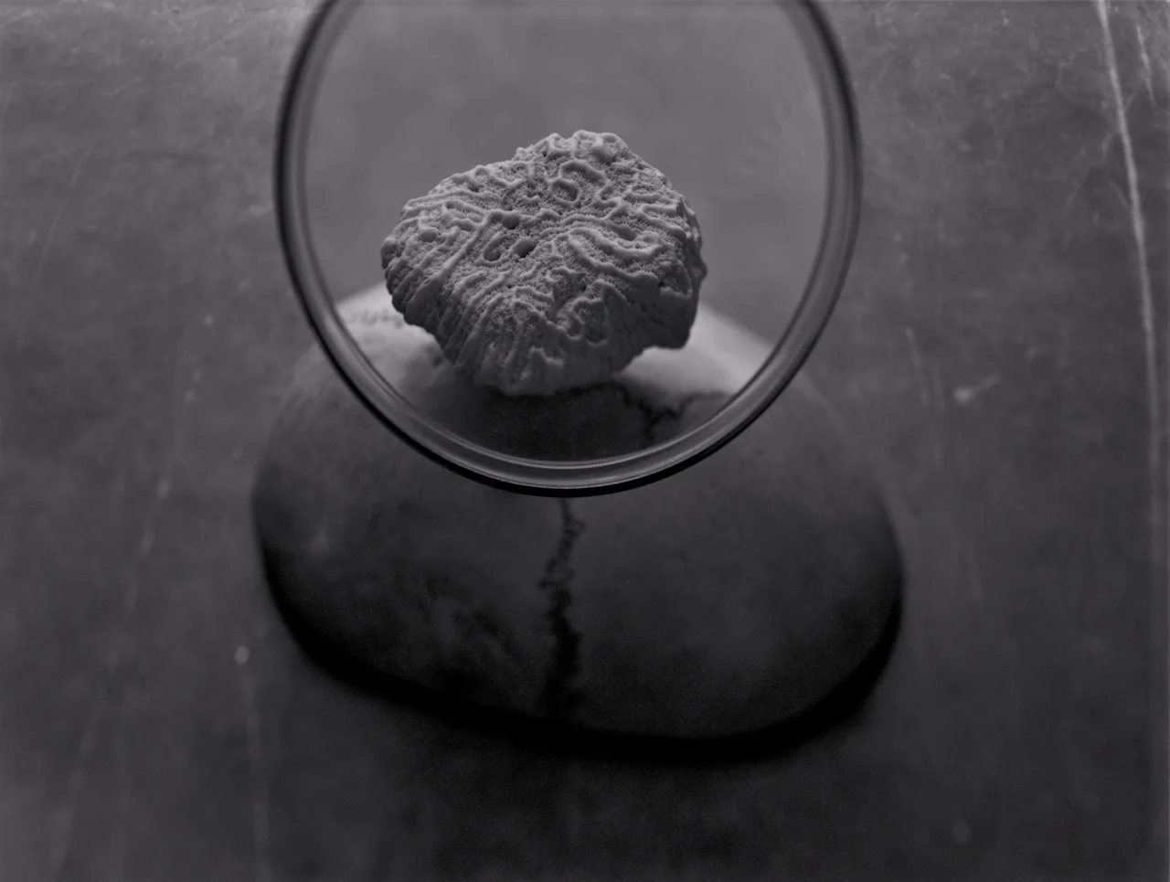 still-05