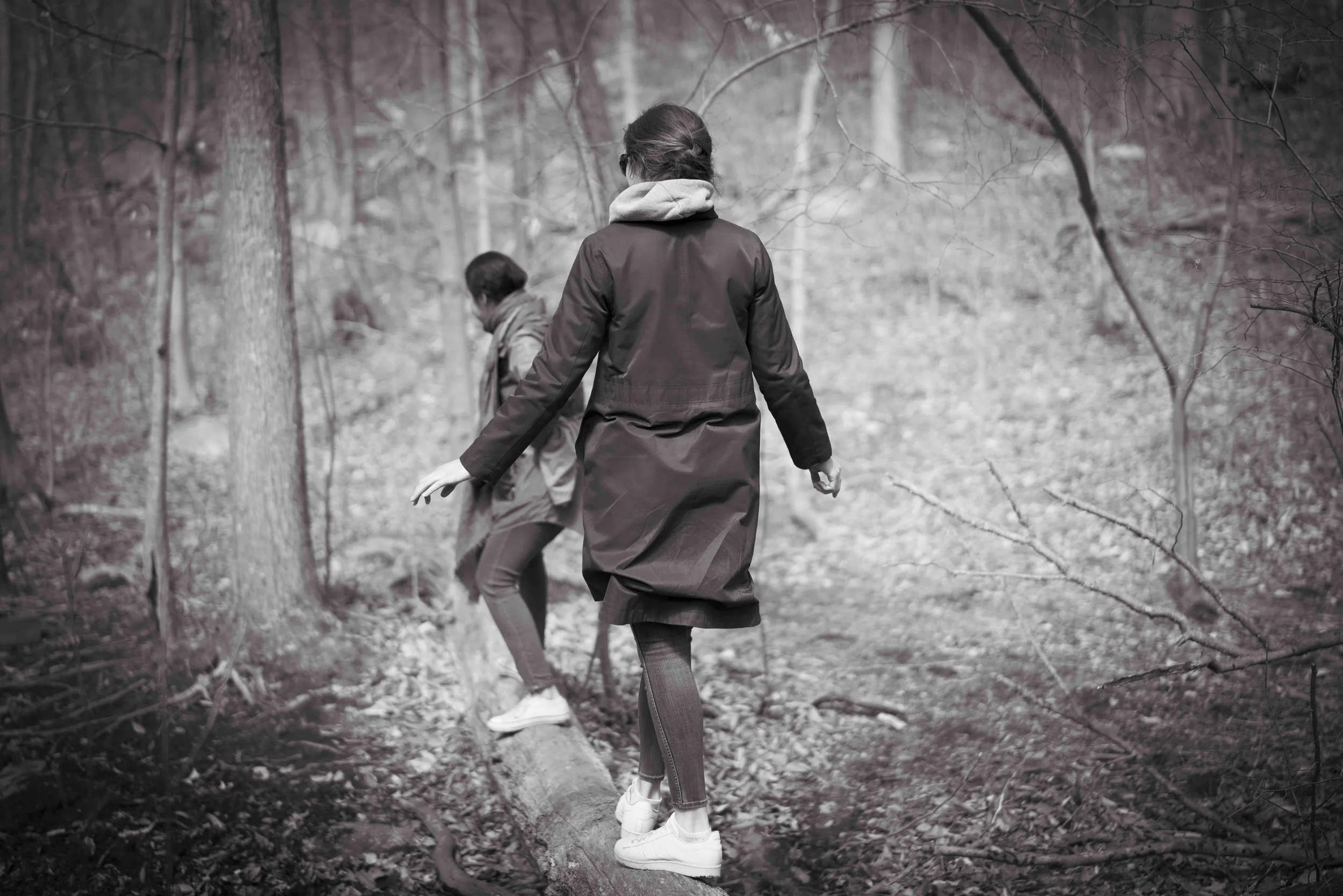 One Walkx12