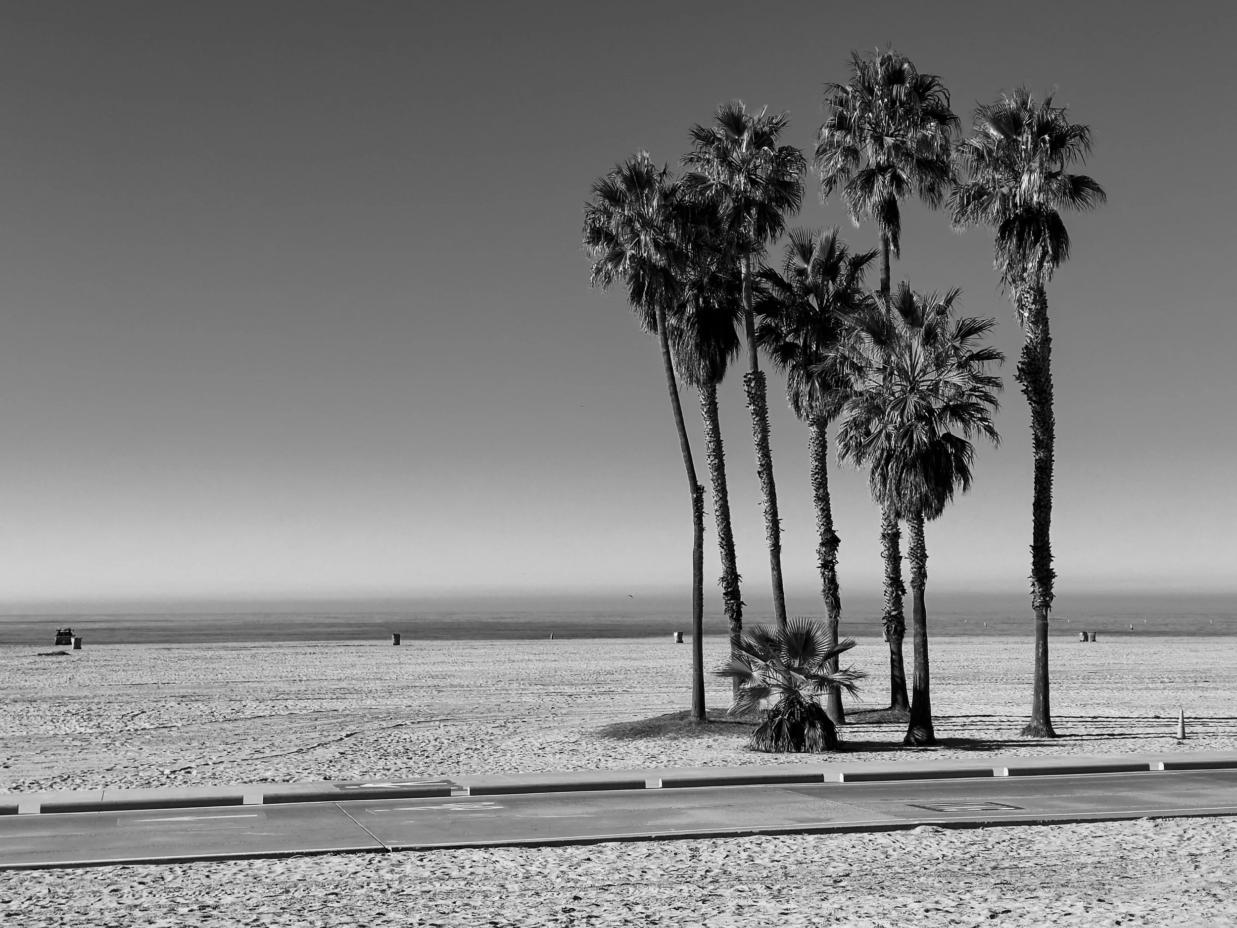 cali-26
