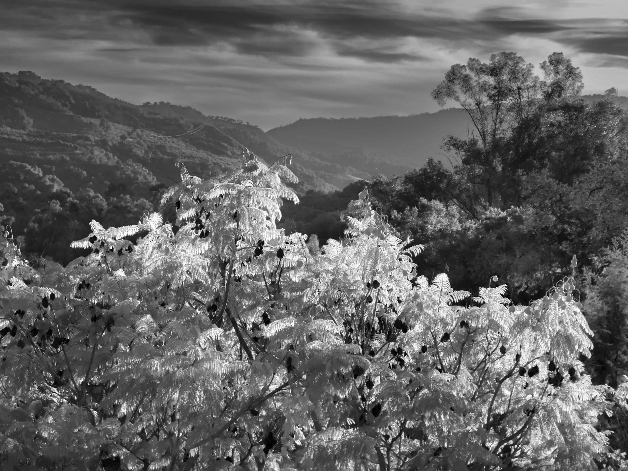ojai-06
