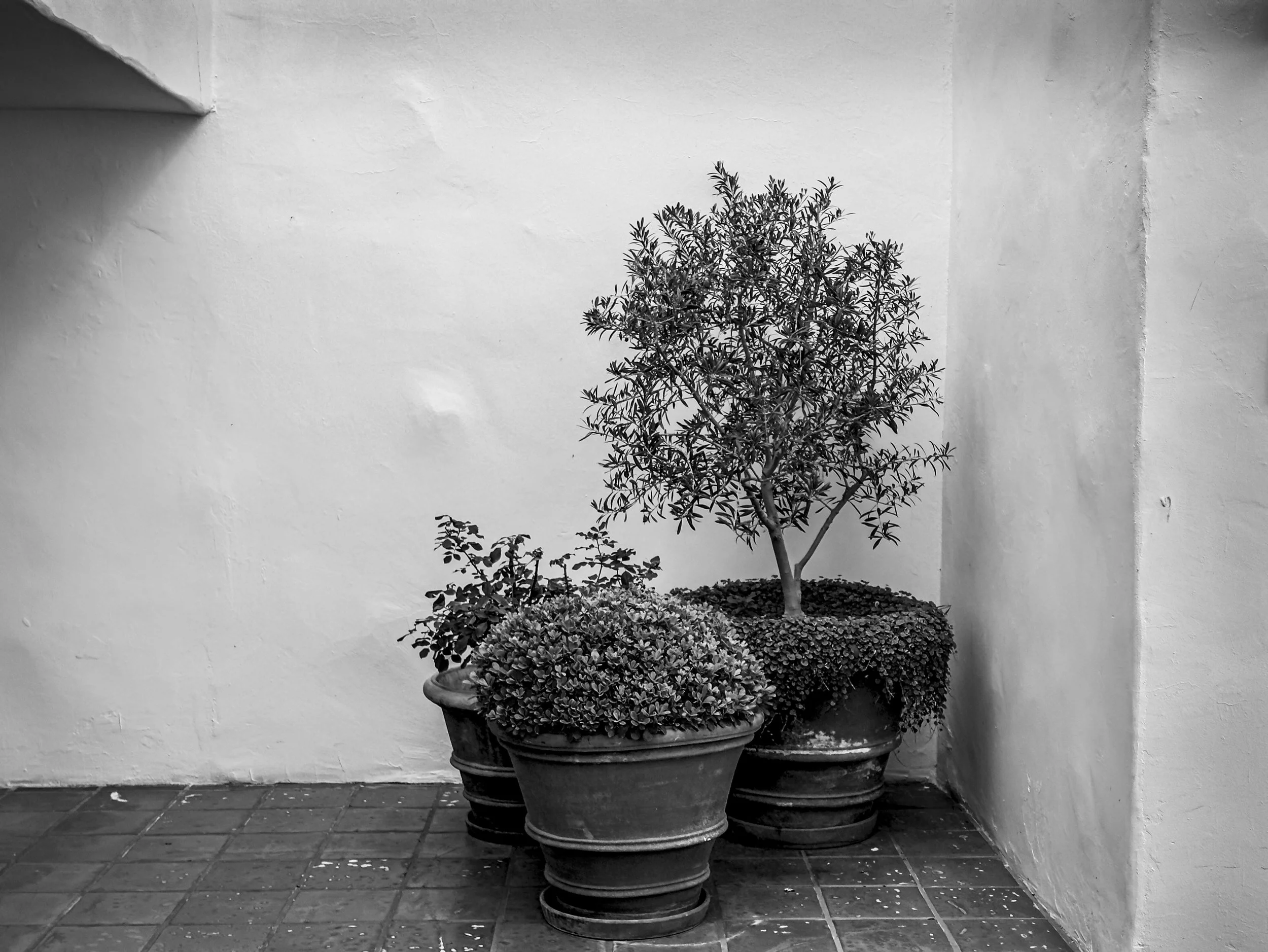 ojai-08