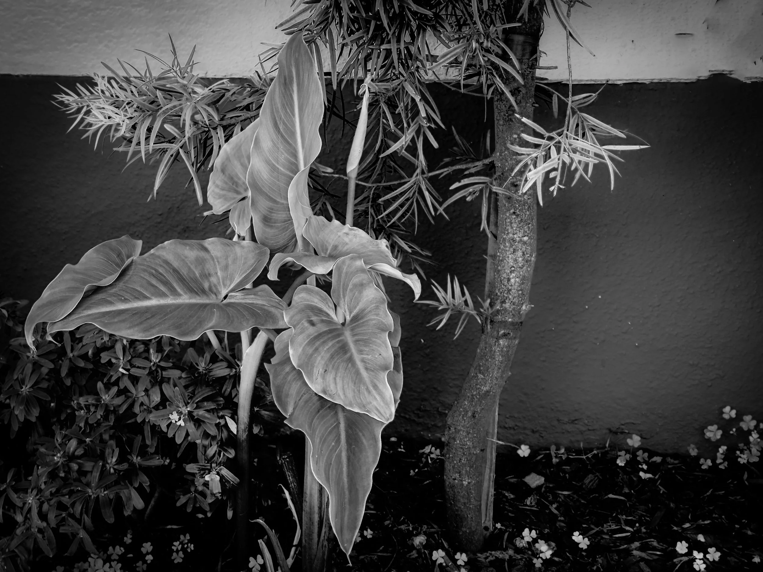 2026 SAN FRAN WEEKEND - 1 of 4-2.jpg