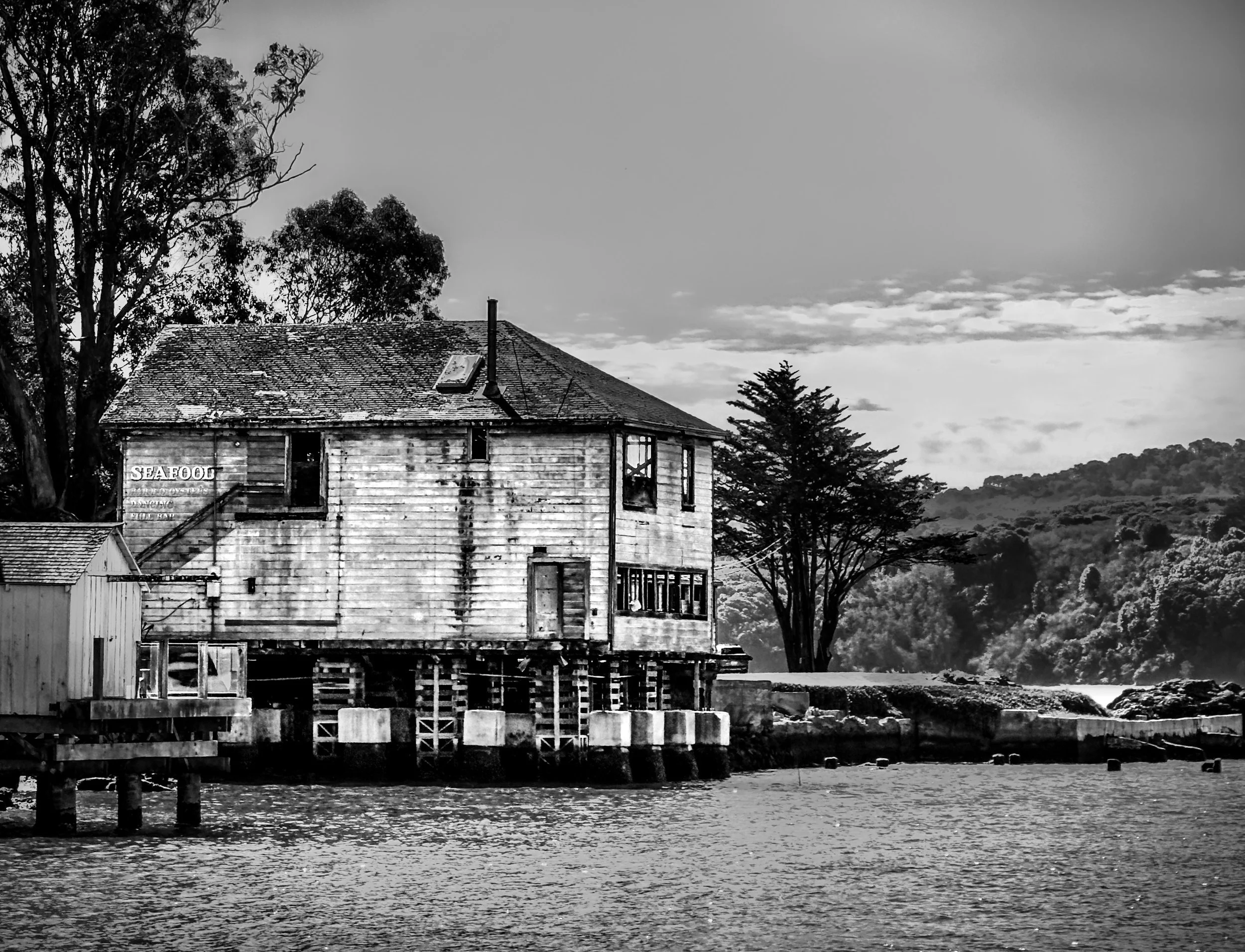 2026 SAN FRAN WEEKEND - 2 of 2.jpg