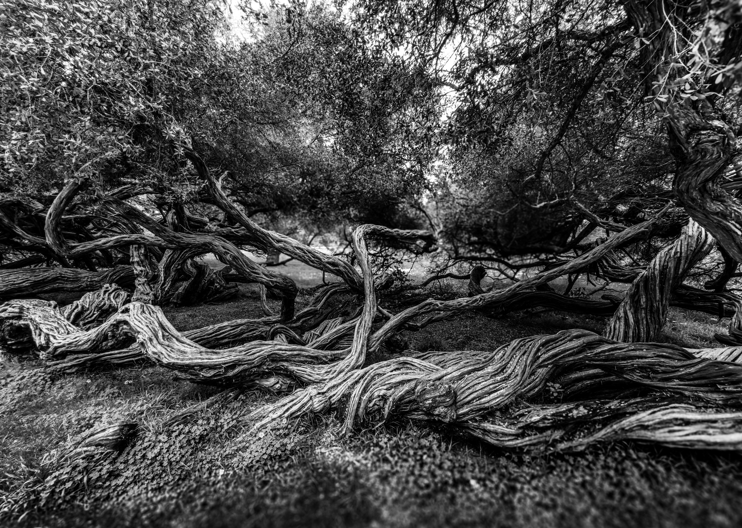 2026 SAN FRAN WEEKEND - 3 of 5-2.jpg