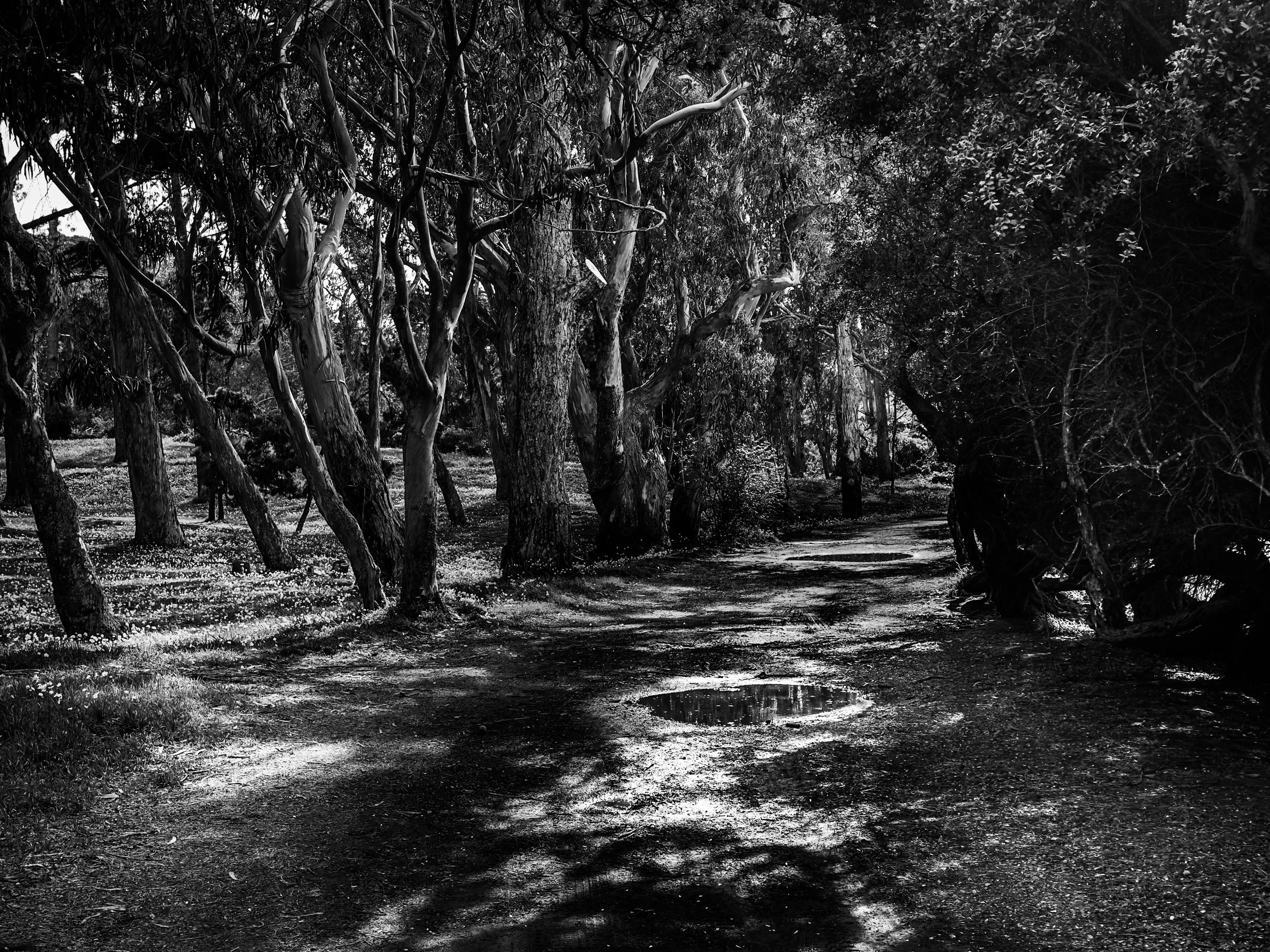 2026 SAN FRAN WEEKEND - 7 of 7.jpg