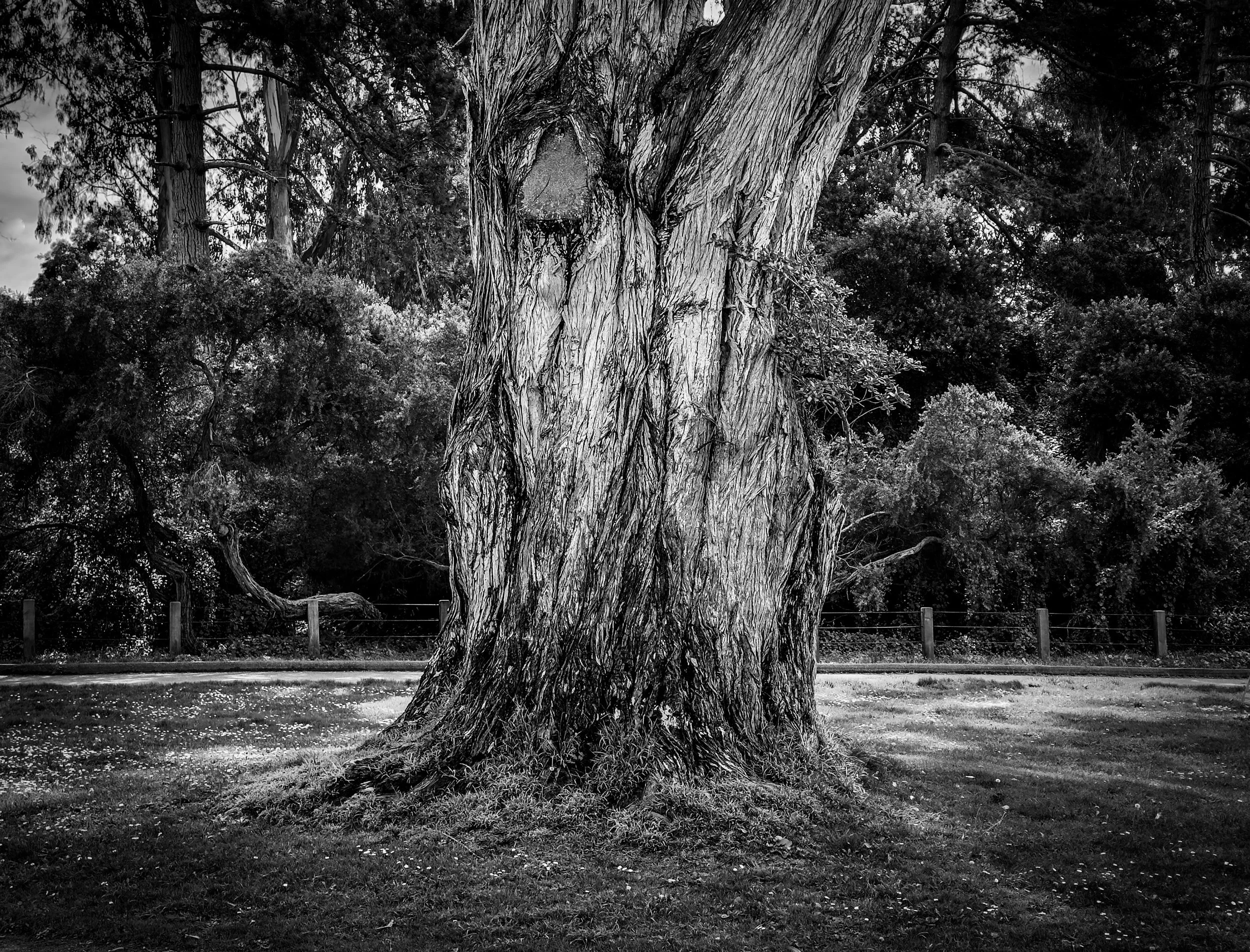 2026 SAN FRAN WEEKEND - 7 of 7 (1).jpg