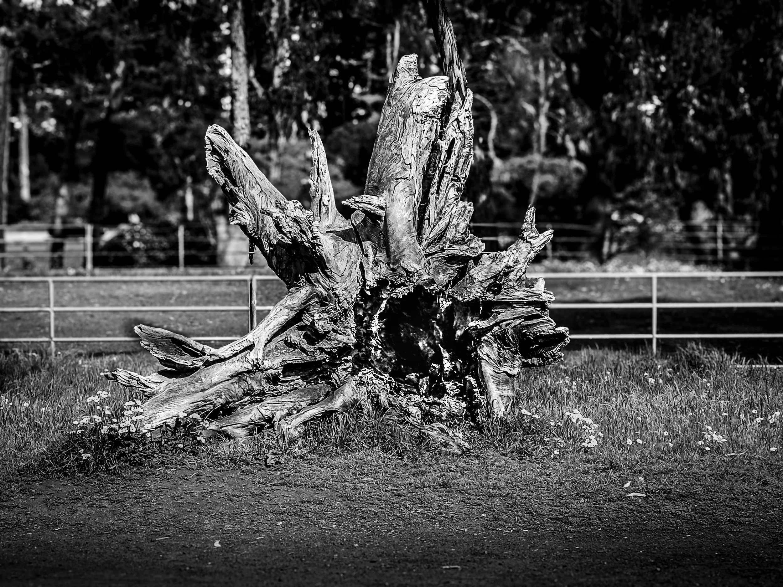 2026 SAN FRAN WEEKEND - 6 of 7.jpg