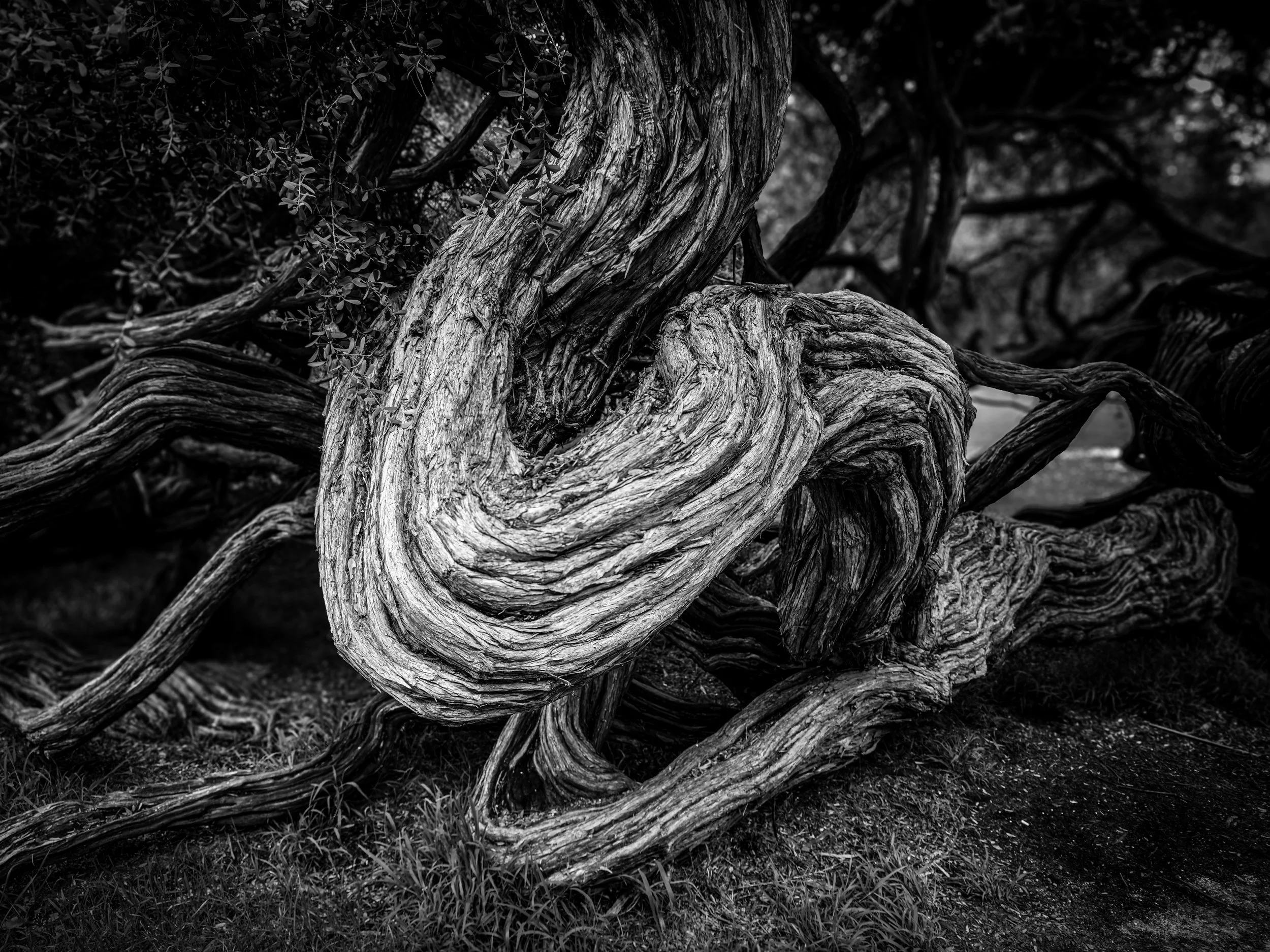 2026 SAN FRAN WEEKEND - 5 of 5-2.jpg