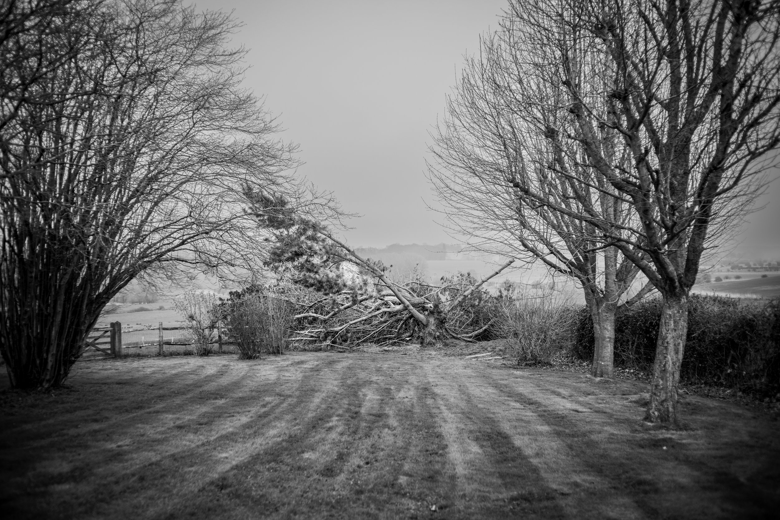 udimore-37