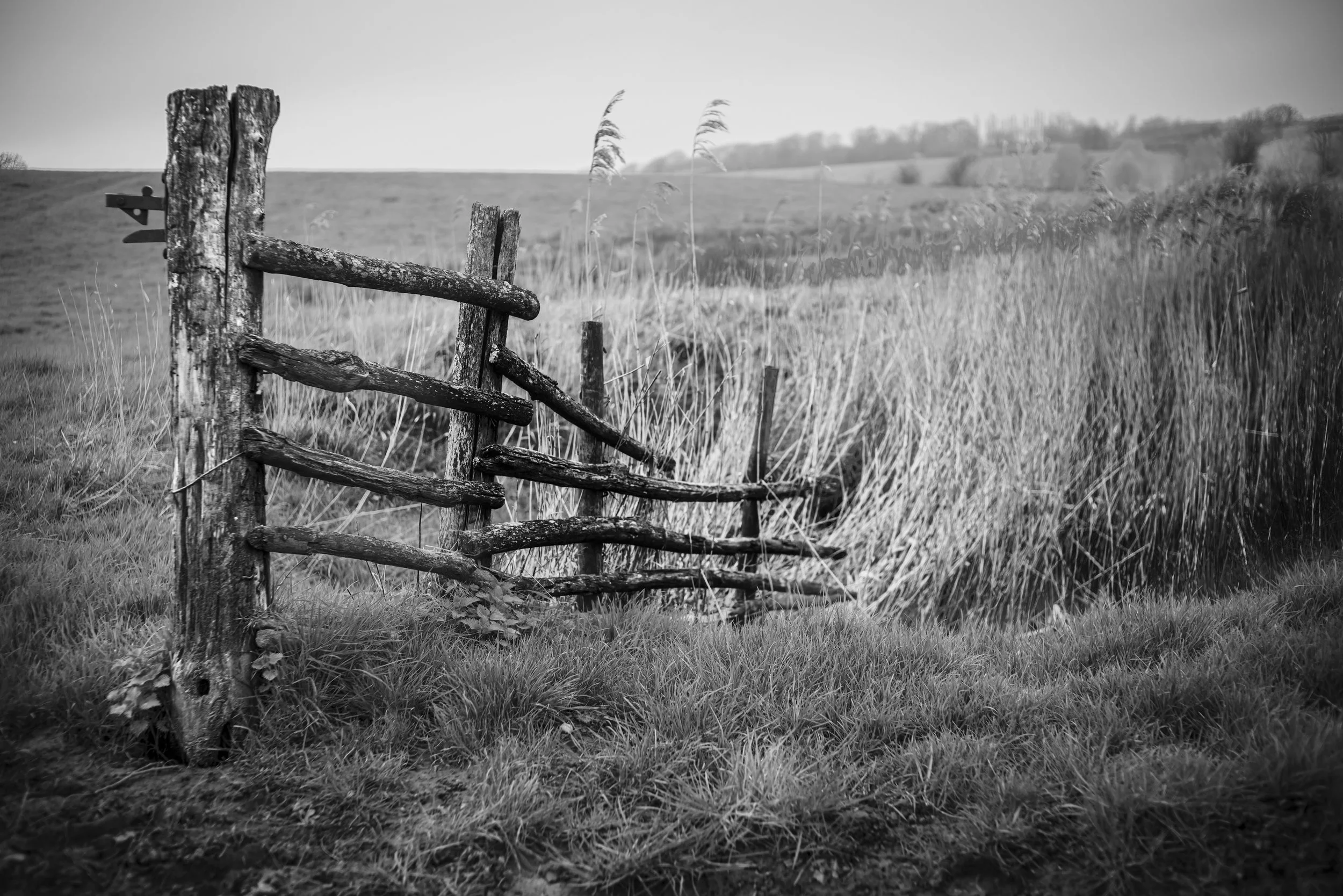 udimore-41