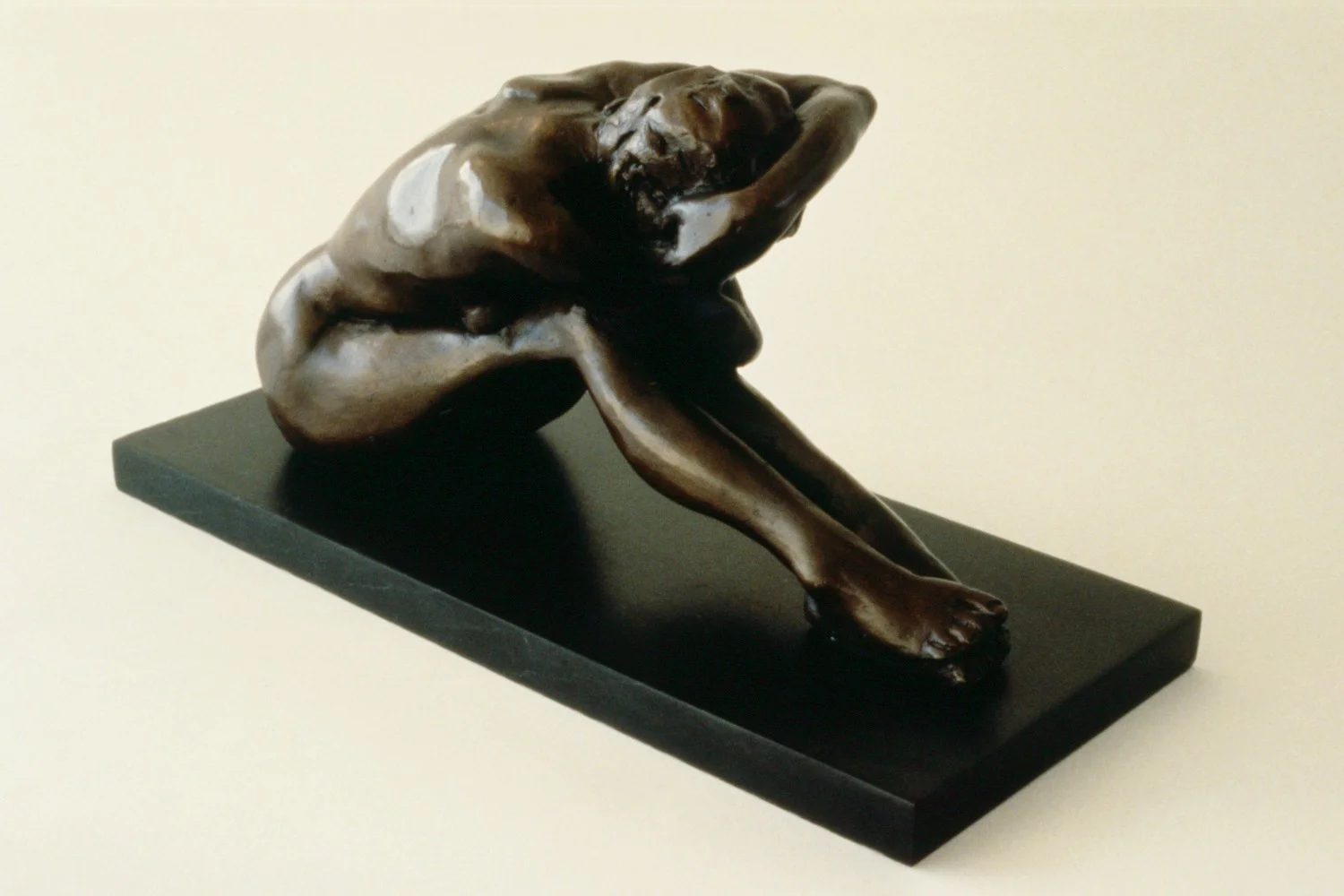 Enclosed3.JPG