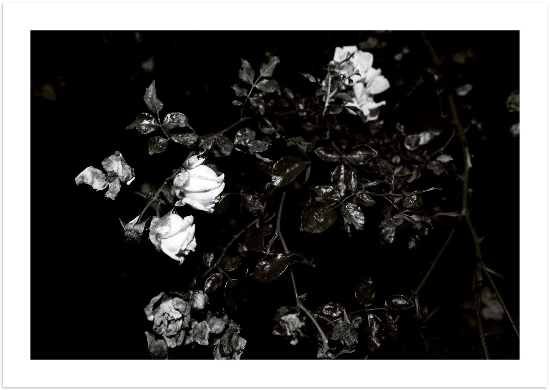 Tearsheets-DM-049.png