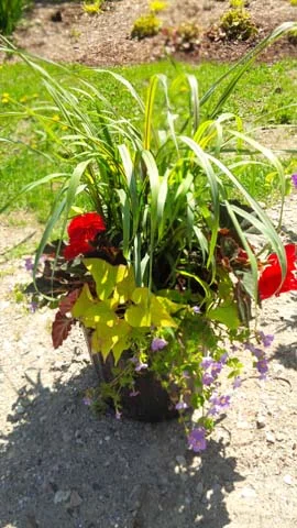 IMG_00000367.jpg