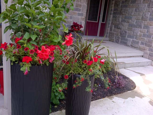 IMG-20140606-00337.jpg