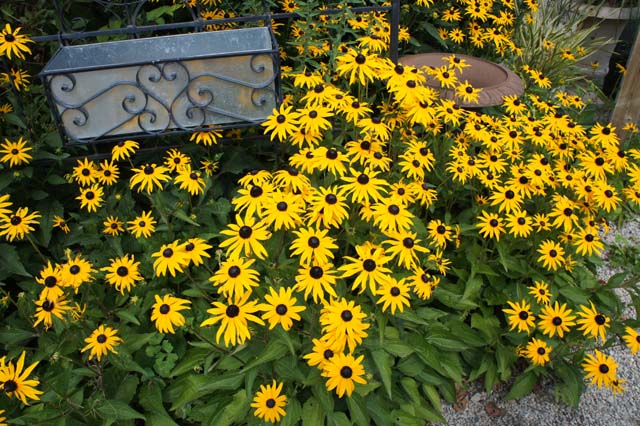 DSC03645.jpg