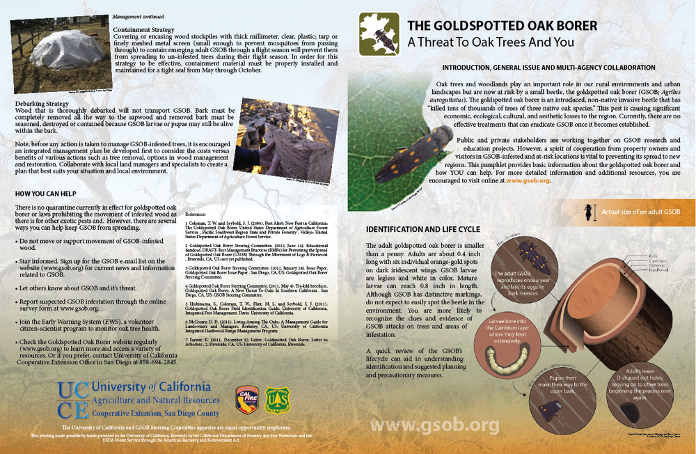 GSOB Info Booklet (11x17)-02.png