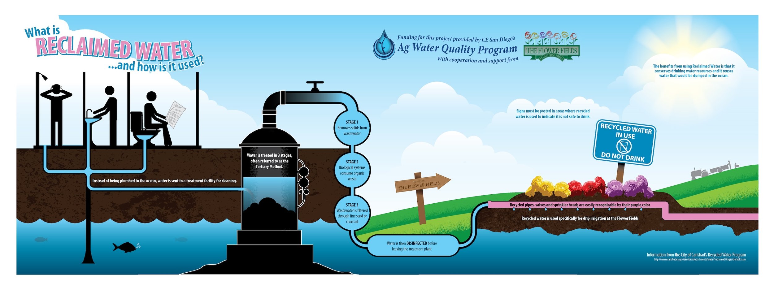 RW_Infographic WEB.jpg