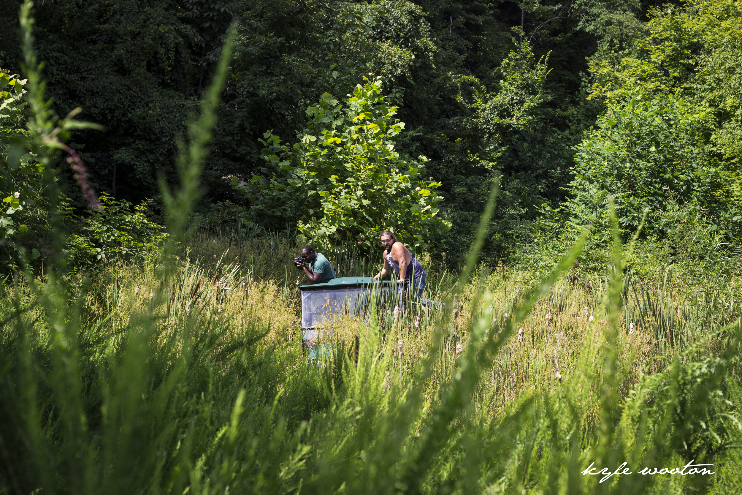 Location: Big Creek Section of Hazard, KY Photo by: Kyle Wooton
