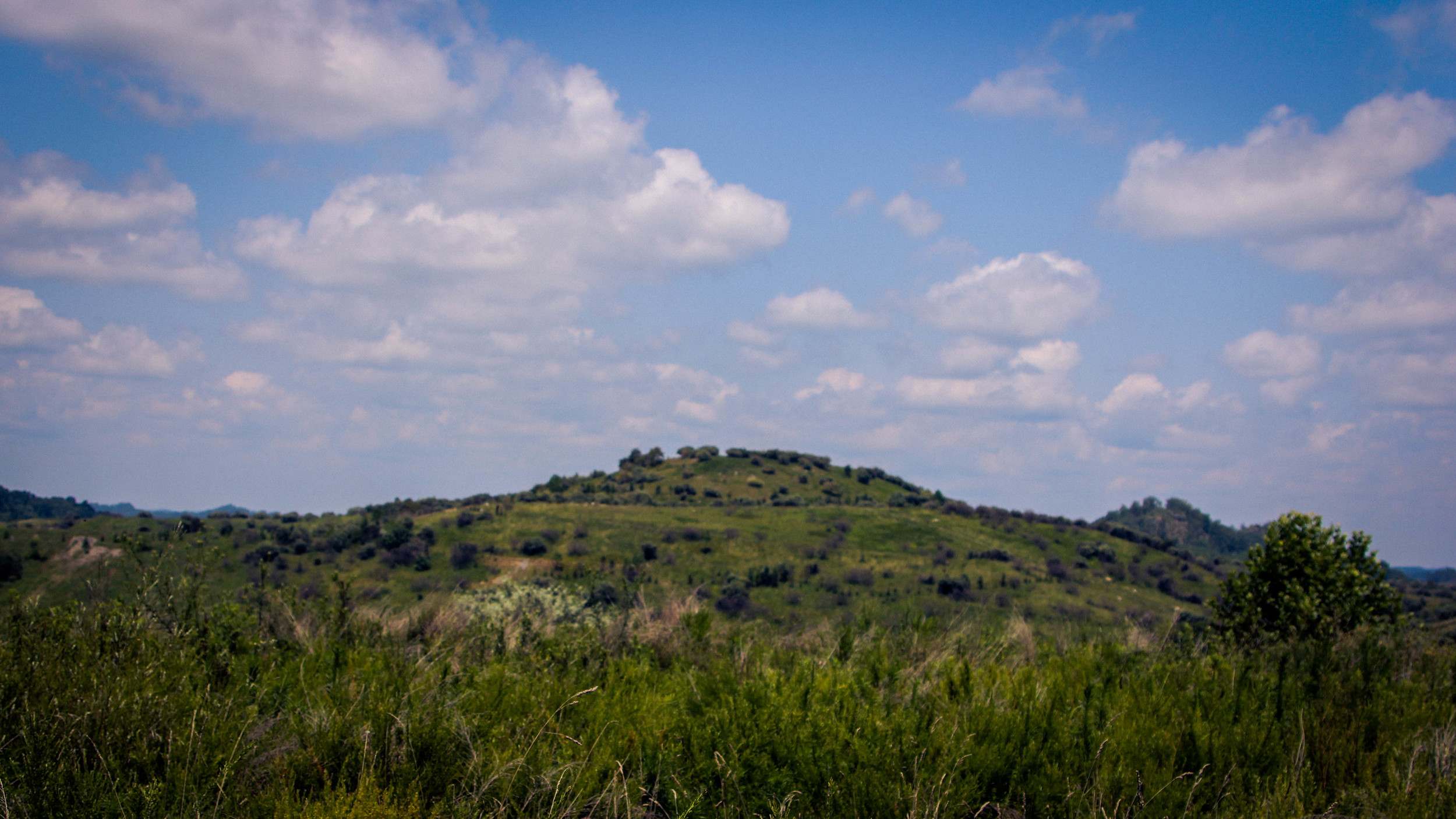 Reclaimed mine land in the Big Creek section of Hazard, KY Photo by; Gerry Seavo