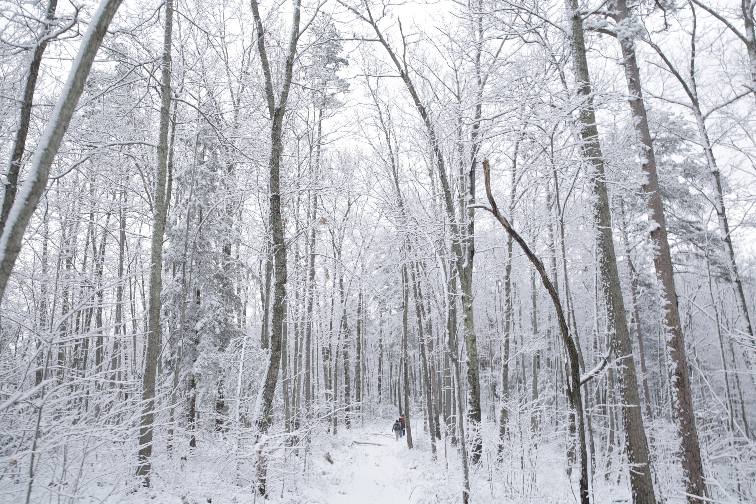 Overnight now is the best precursor to any winer hike. Photo by Nate Spicer
