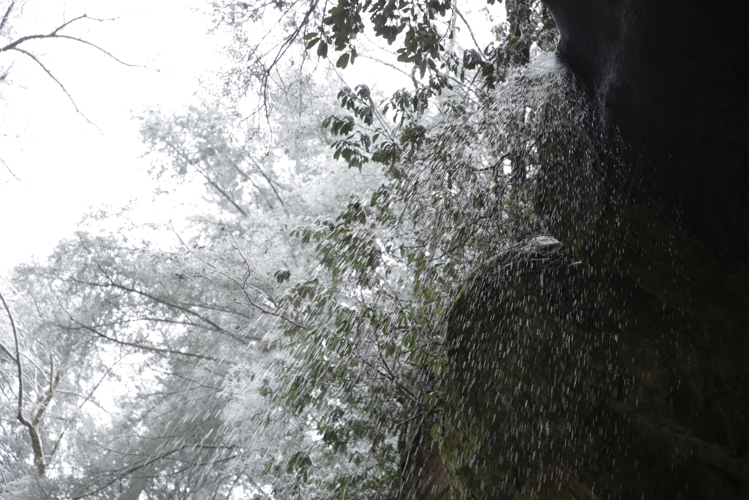 Despite the freezing conditions, water was still flowing at trinity shelter. Photo by Nate Spicer