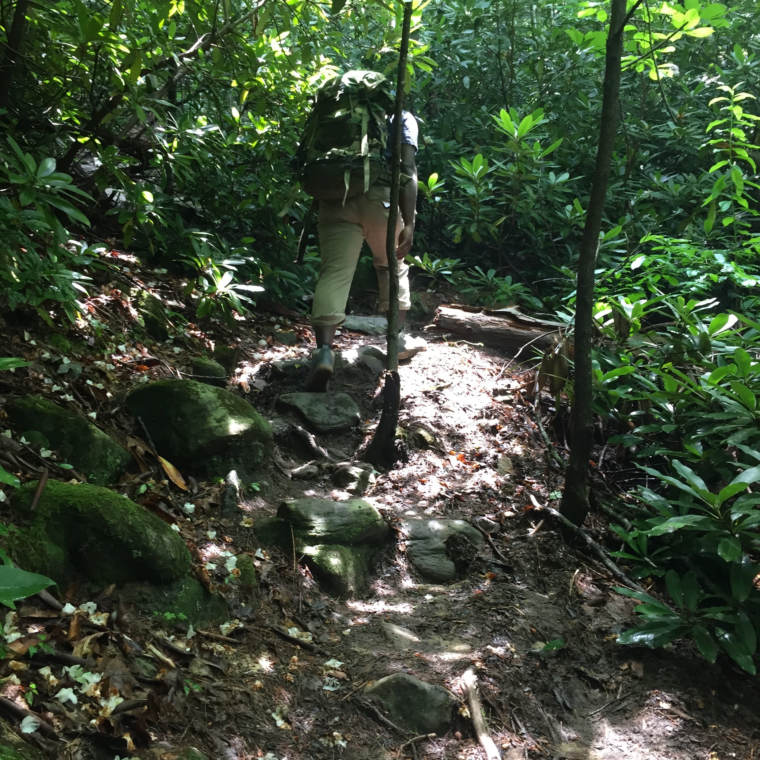 Hiking the approach trails to the Graining Fork Nature Preserve aka Roadside Crag, one of the most visited climbing areas in the Red River Gorge. Be sure to get a permit before visiting. Photo via Shara Sumner