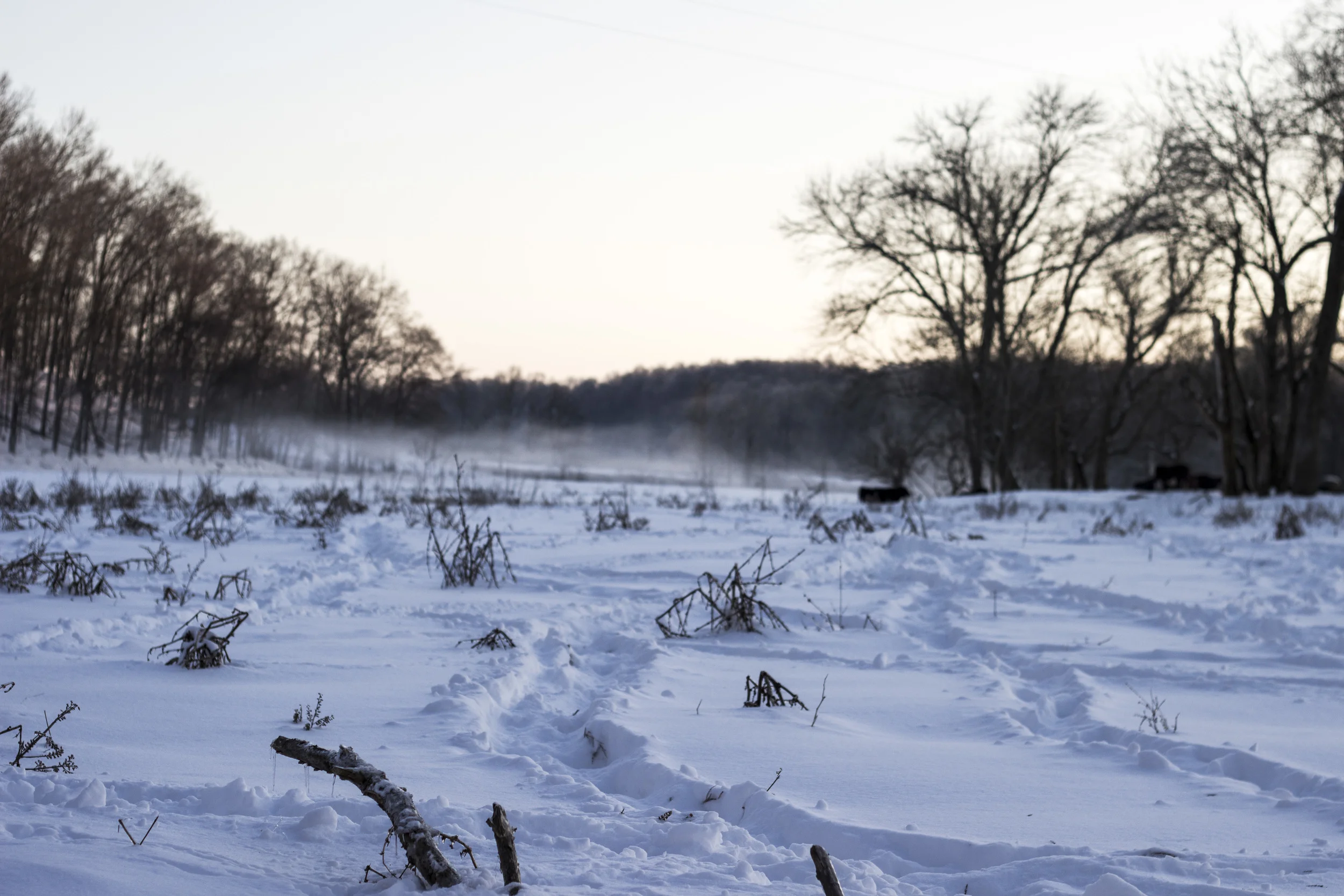 Shot of the farm and river covered in snow. Photo by: Michael Cheser