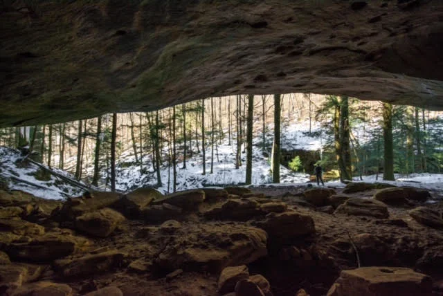 Above-ground Adventures at Mammoth Cave National Park