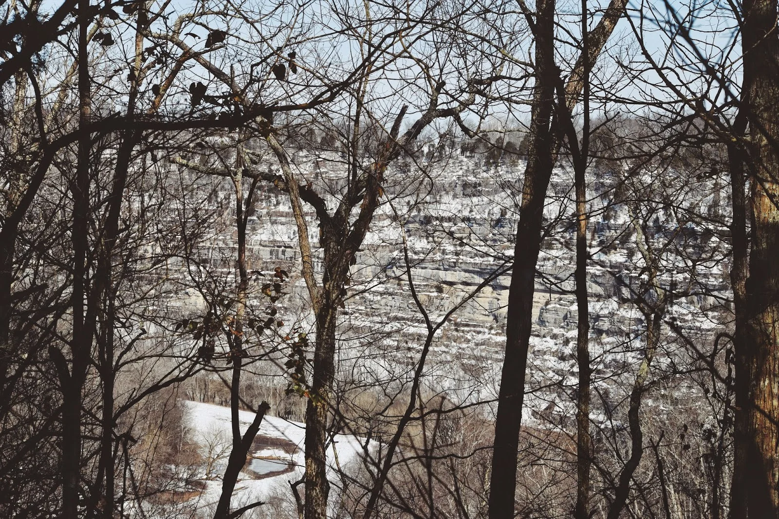 Jim Beam Nature Preserve in Jessamine County