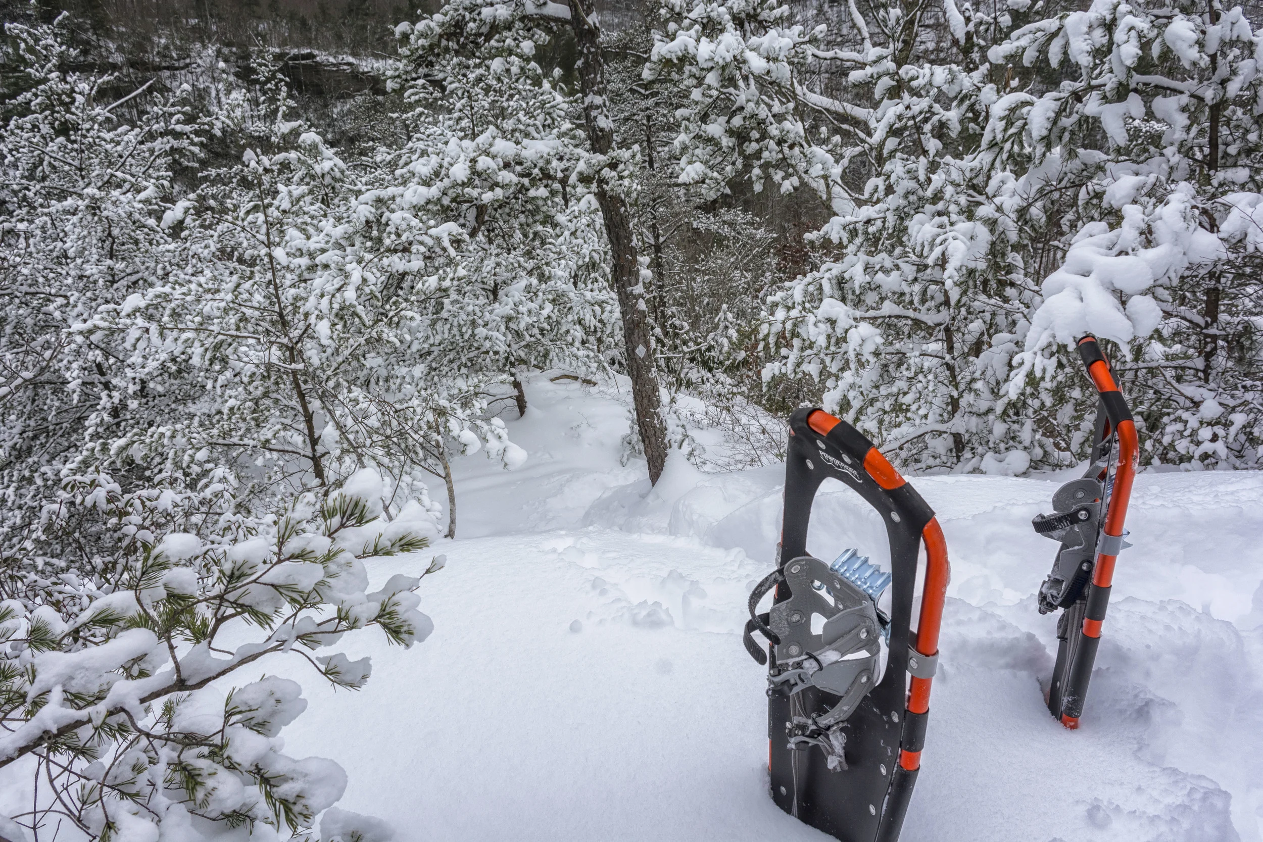 Snowshoeing in Red River Gorge