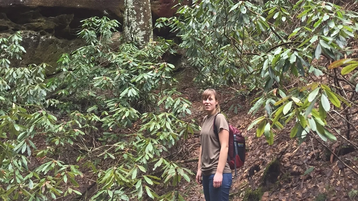 Kentucky's Ancient Forest: An adventure in Blanton Forest State Nature Preserve
