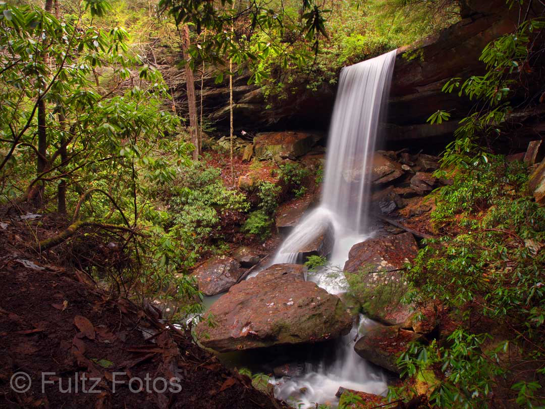 Photograph by Bill Fultz