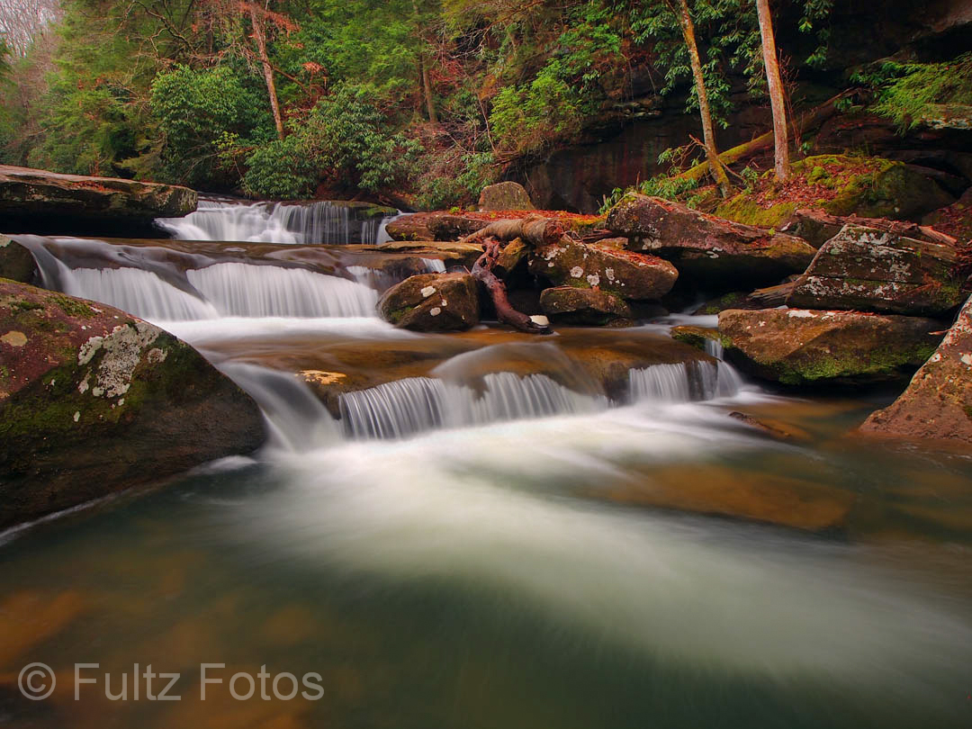 Photograph by Bill Fultz