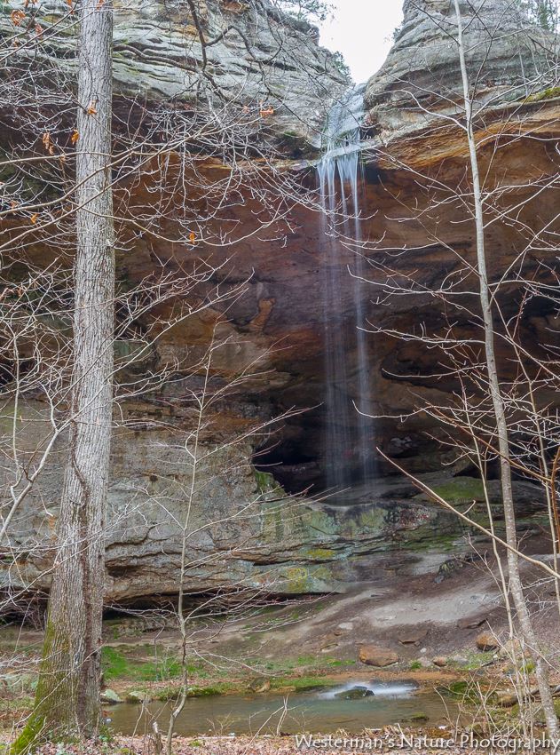 Photo: Brandon Westerman