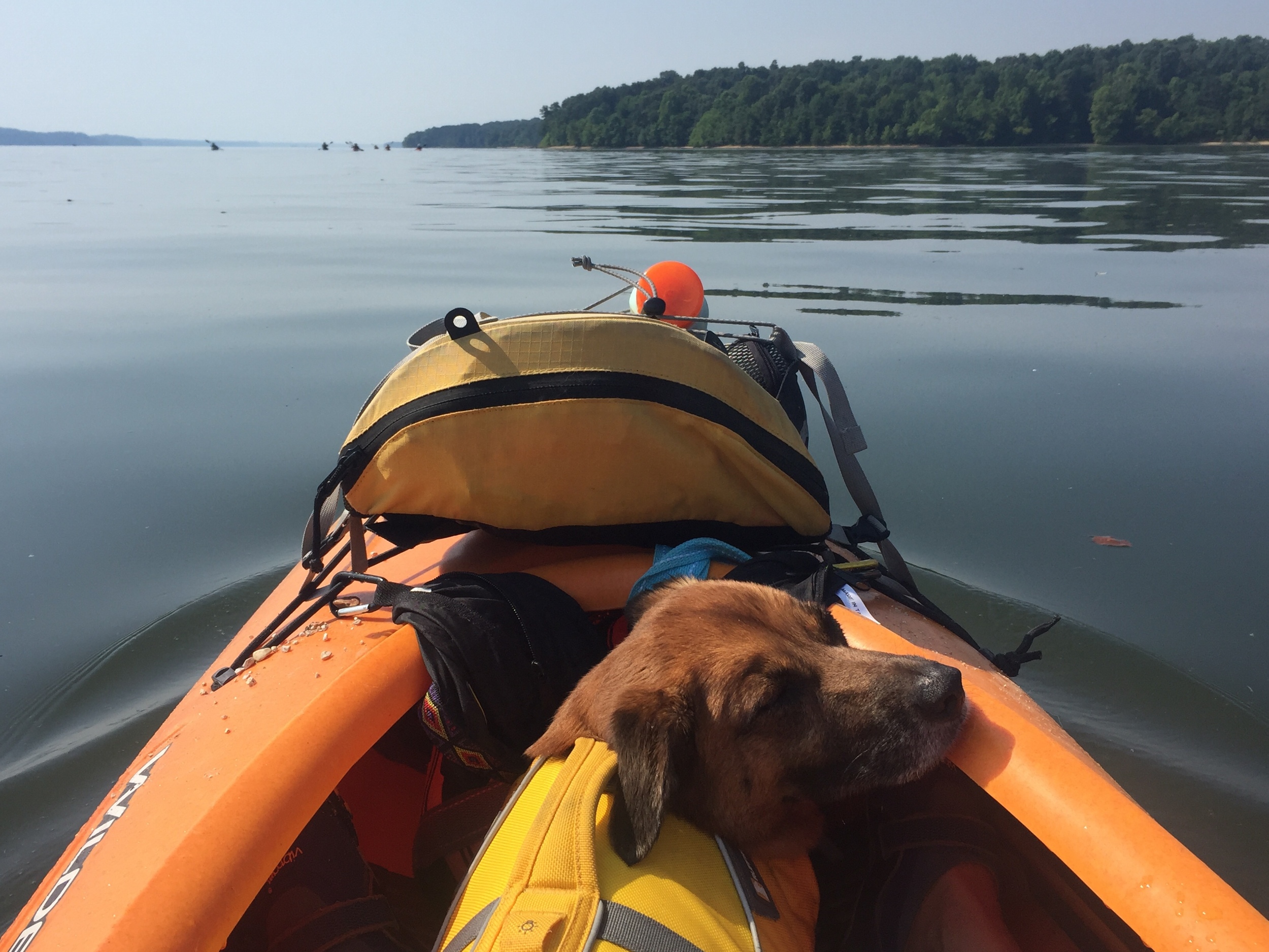 Maddy spent the trip swimming and and kayaking. Photo by Kimberly Bischoff.