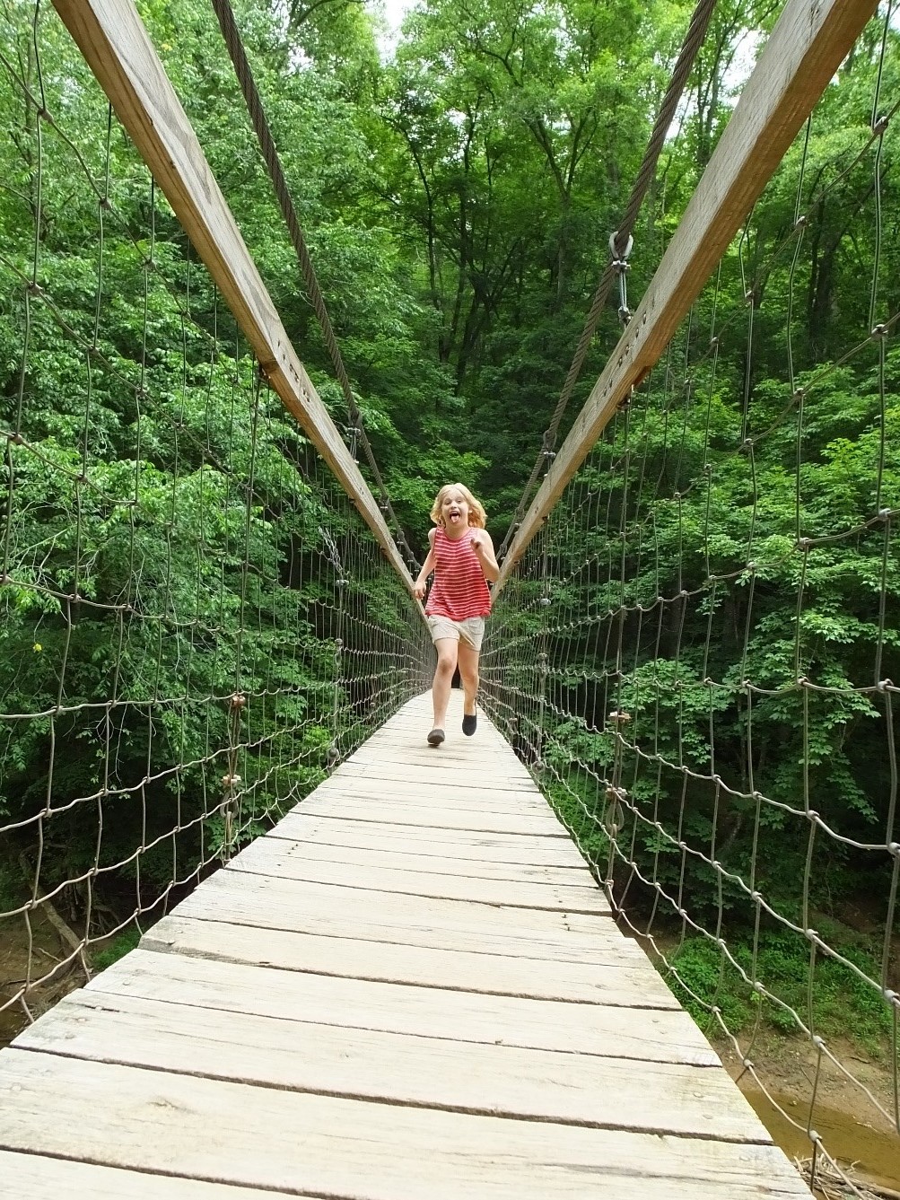 Sheltowee Swinging Bridge, Red River Gorge, KY