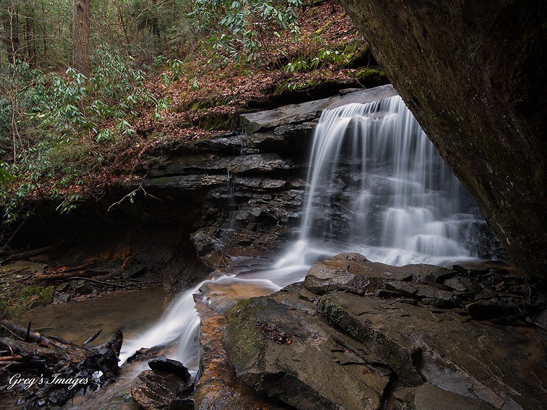Photo by Greg Davis