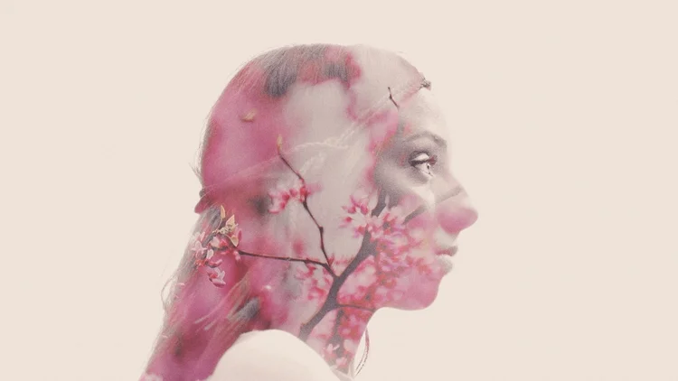 The Hidden Gem of the Mountains