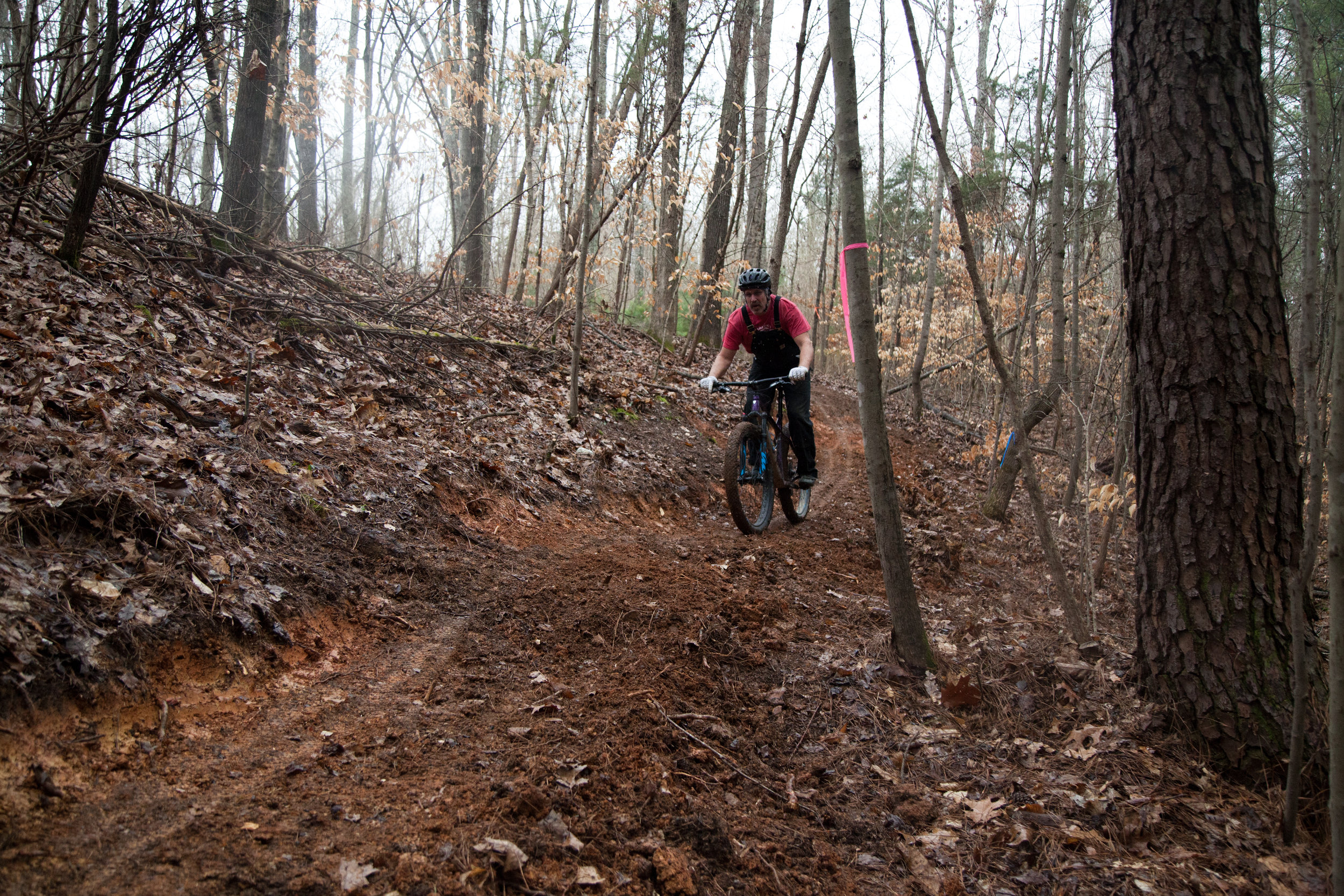 Photo by Reed Mattison