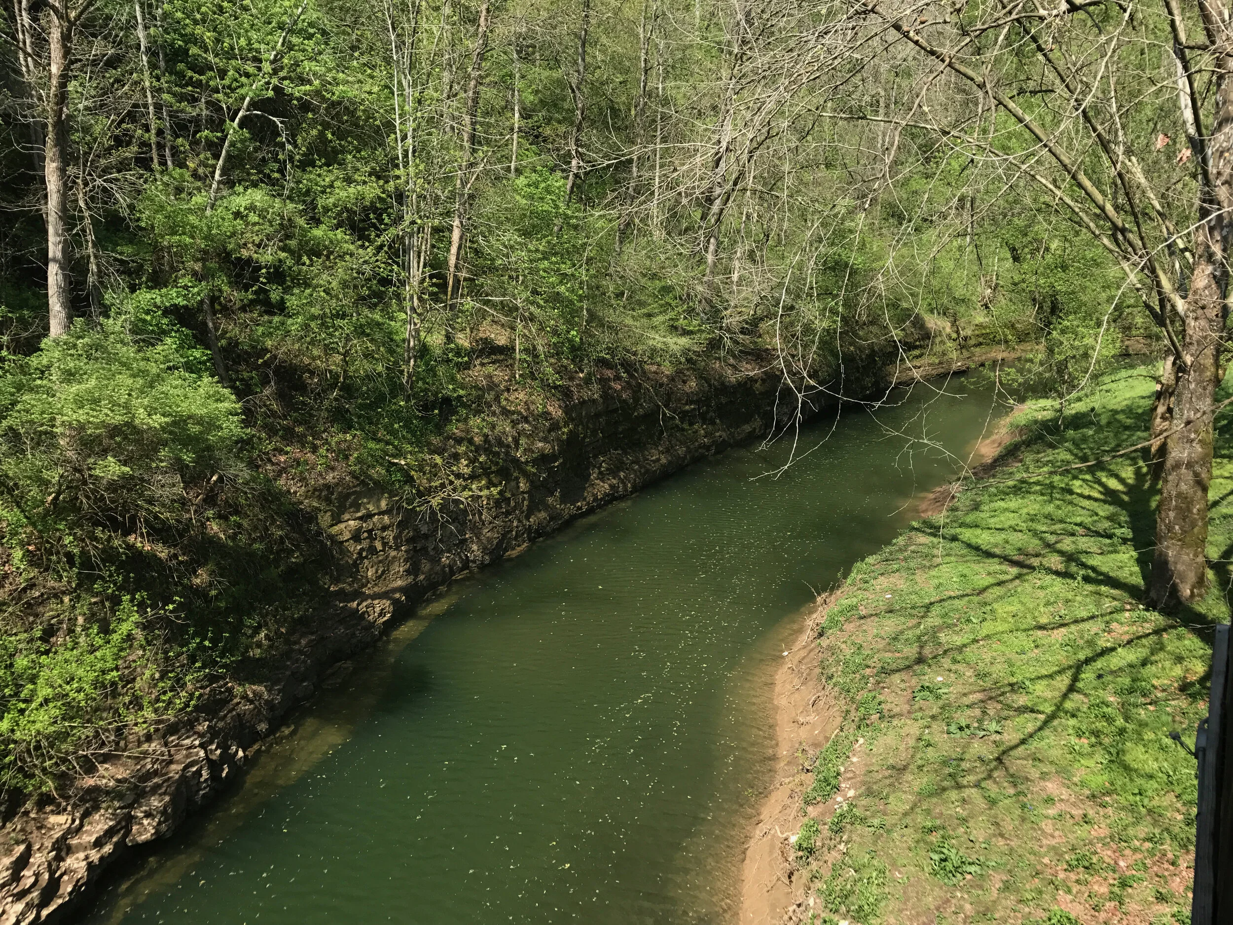 Long Hike at Howard's Creek