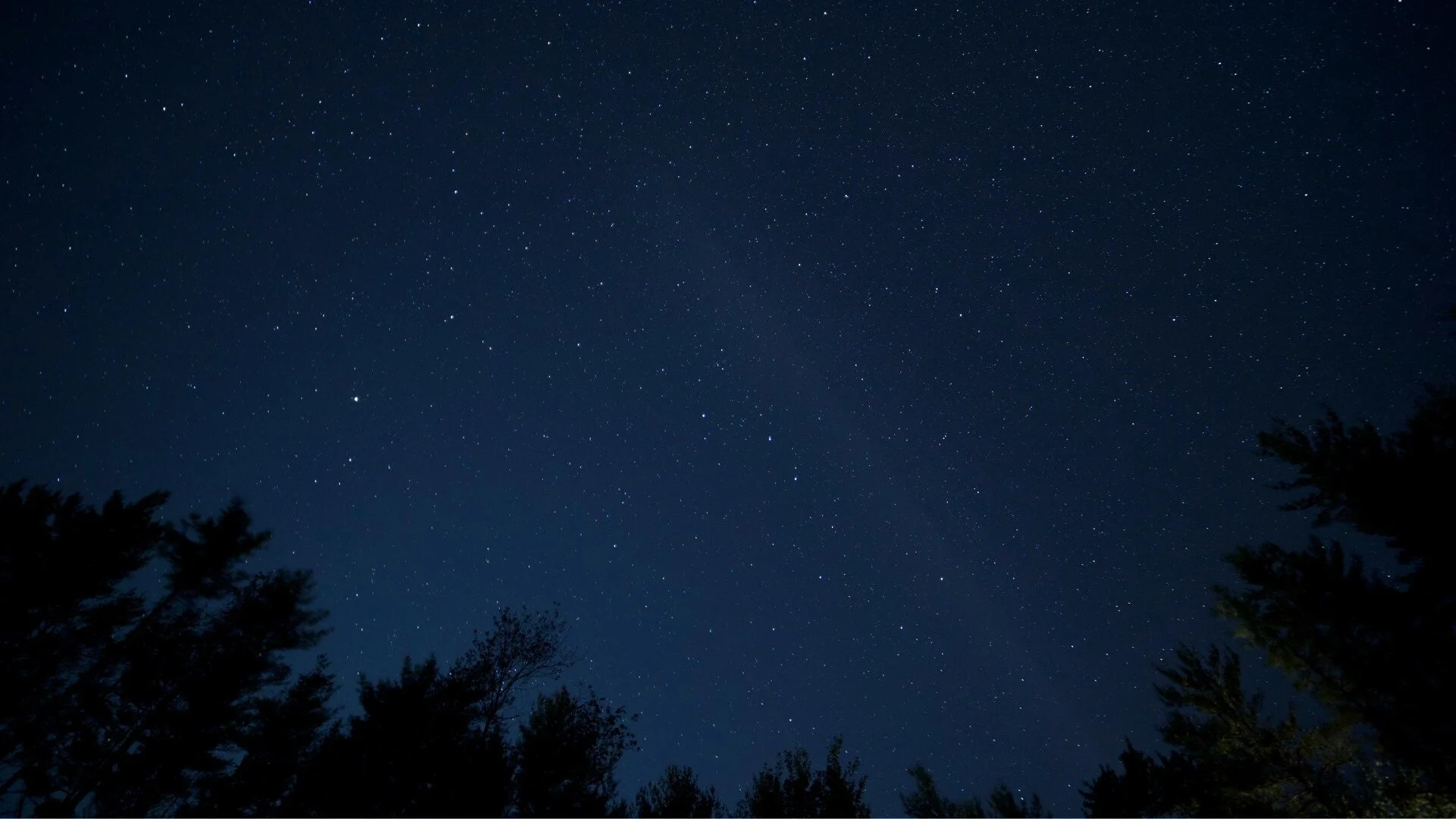 Night Hike at the Louisville Nature Center  