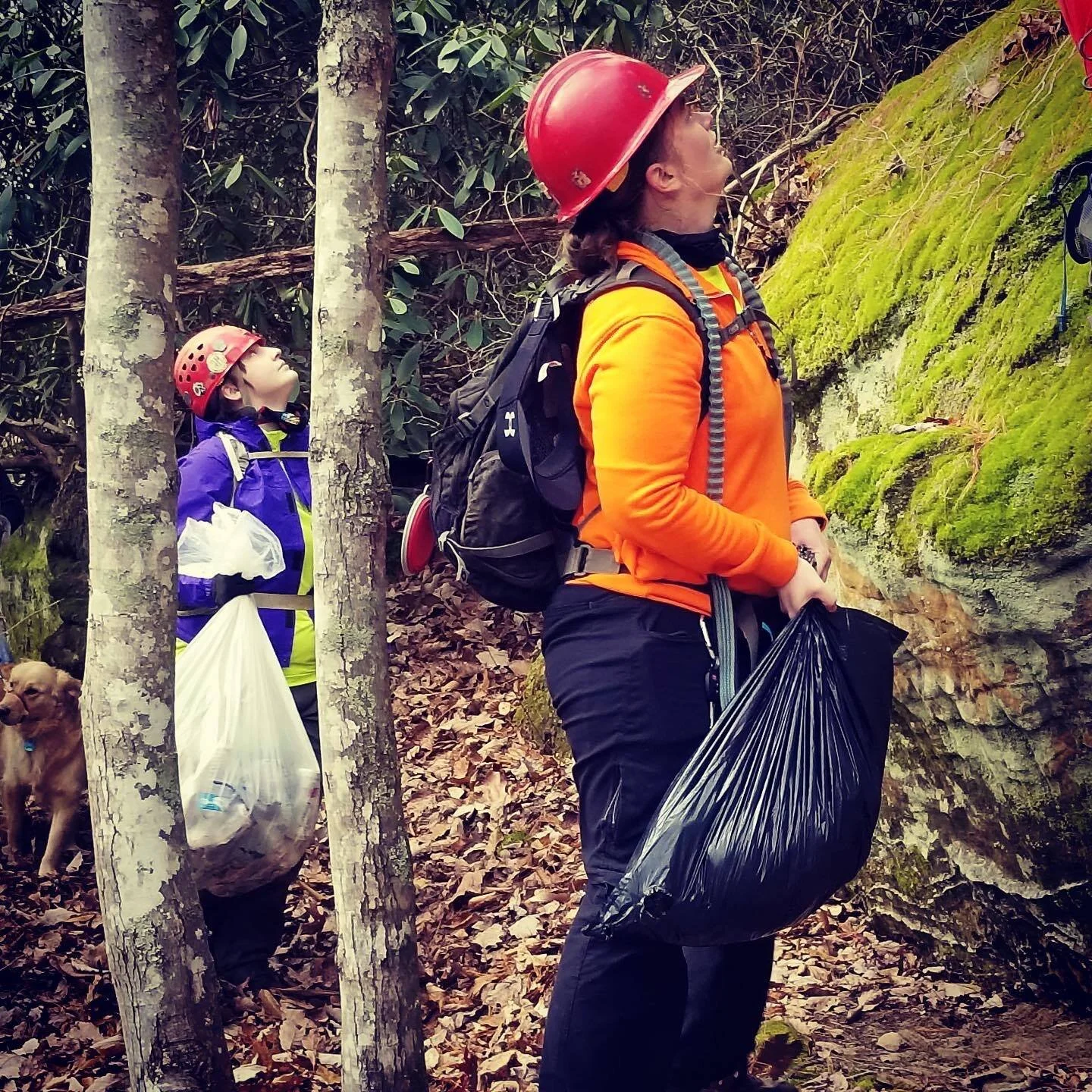 Red River Gorge Half Moon Base Clean Up