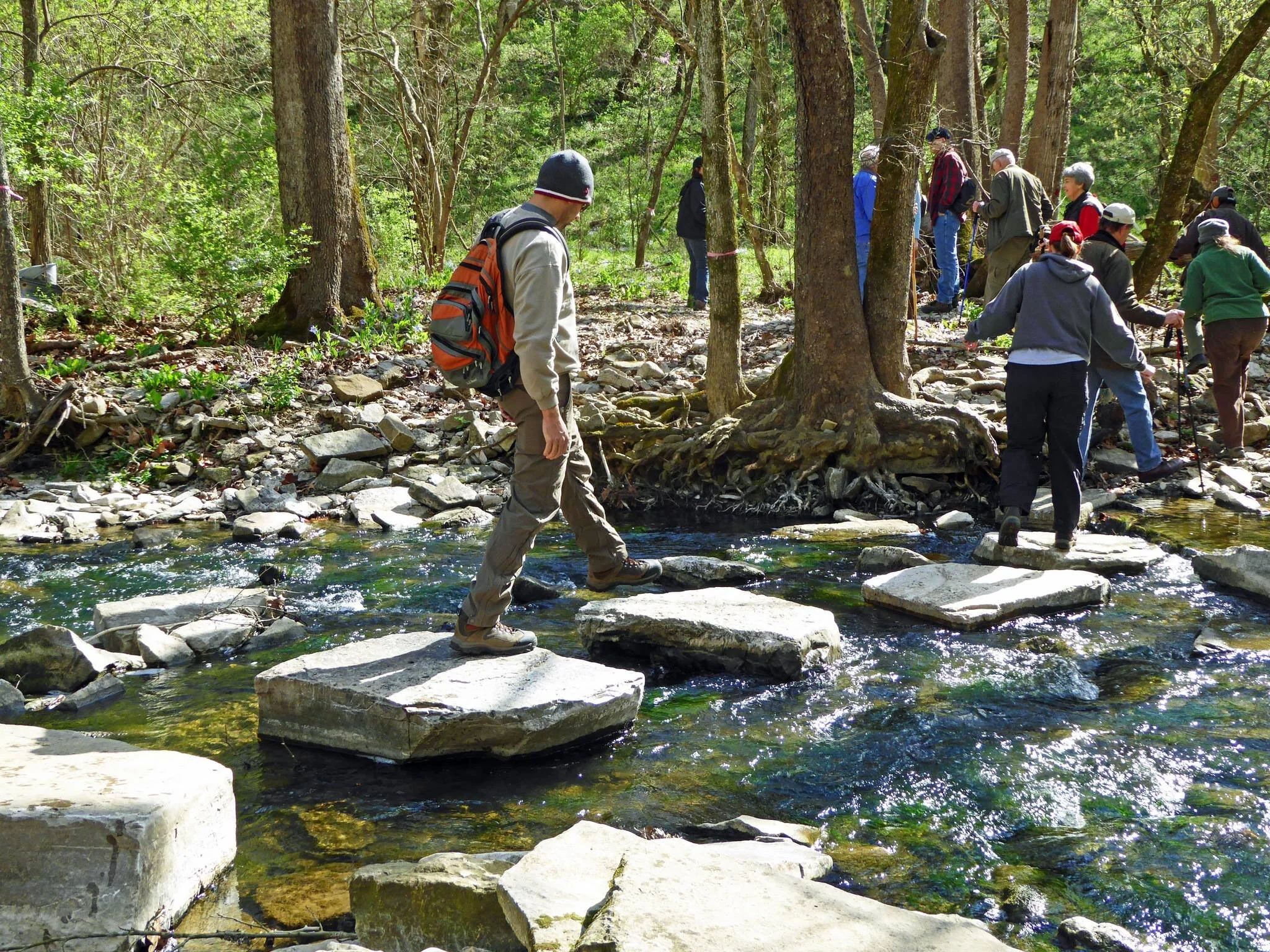 Long Hike at Howard's Creek