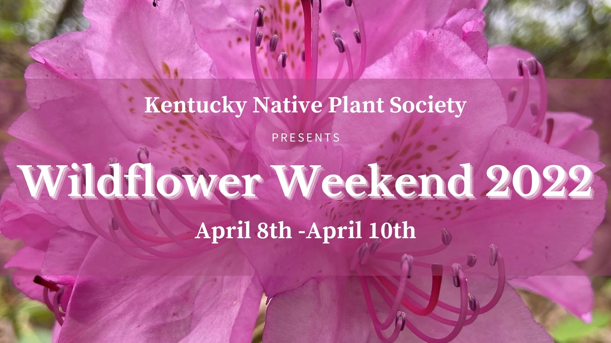 2022 Wildflower Weekend